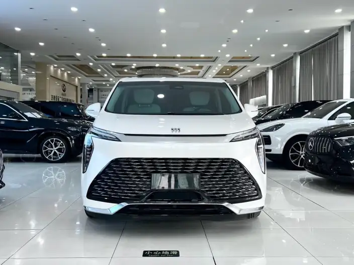 Century 2023 Model 2.0T VI seat Yunshi Edition