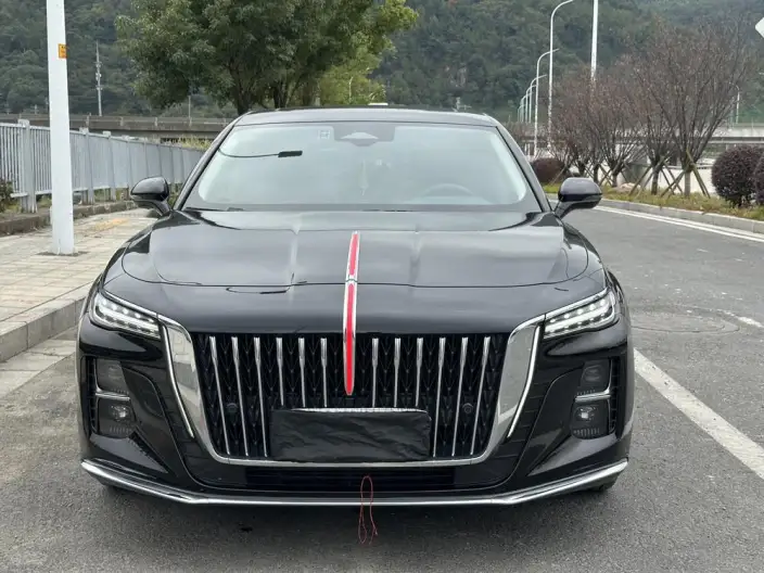 Hongqi H5 2023 Model 2.0T Automatic Flag Enjoy Edition