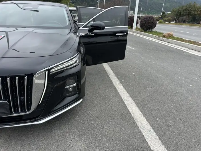 Hongqi H5 2023 Model 2.0T Automatic Flag Enjoy Edition – фото 7