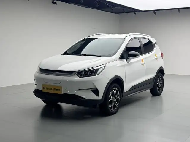 Yuan Pro 2021 Model 401KM Luxury Model – фото 1