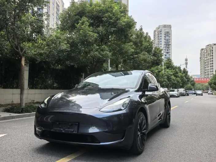 Model Y 2024 Model Rear-wheel drive version – фото 1