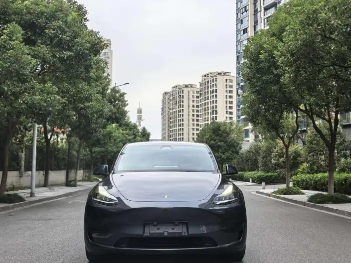 Model Y 2024 Model Rear-wheel drive version – фото 2