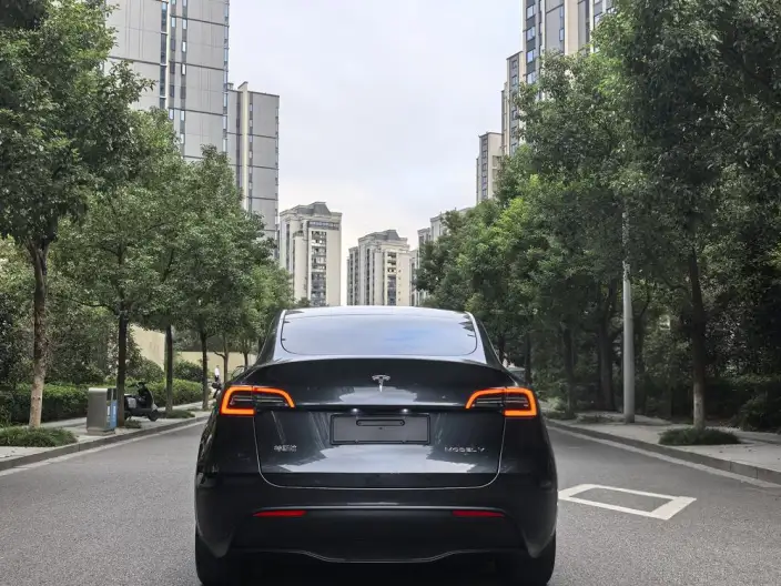 Model Y 2024 Model Rear-wheel drive version – фото 4