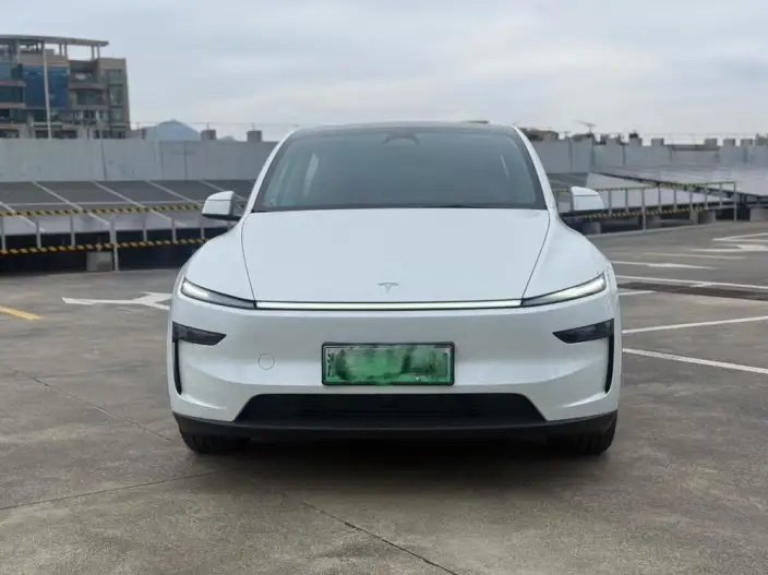 Model Y 2025 Model Rear-wheel drive version – фото 2