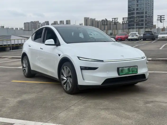 Model Y 2025 Model Rear-wheel drive version – фото 3