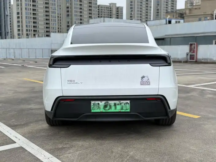 Model Y 2025 Model Rear-wheel drive version – фото 5