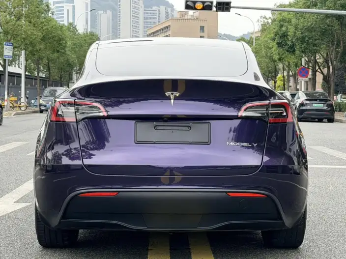 Model Y 2024 Model Rear-wheel drive version – фото 6