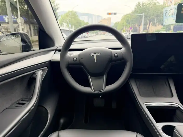 Model Y 2024 Model Rear-wheel drive version – фото 8