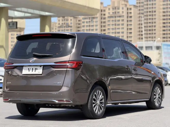 Buick GL8 2023 Model Business class 2.0T Comfort Model – фото 6