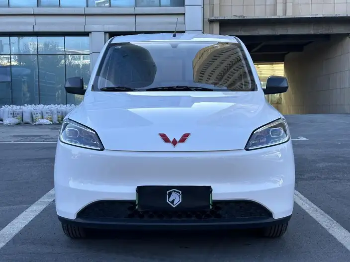 Wuling Hongguang EV Edition 2024 Model 300KM Standard Model