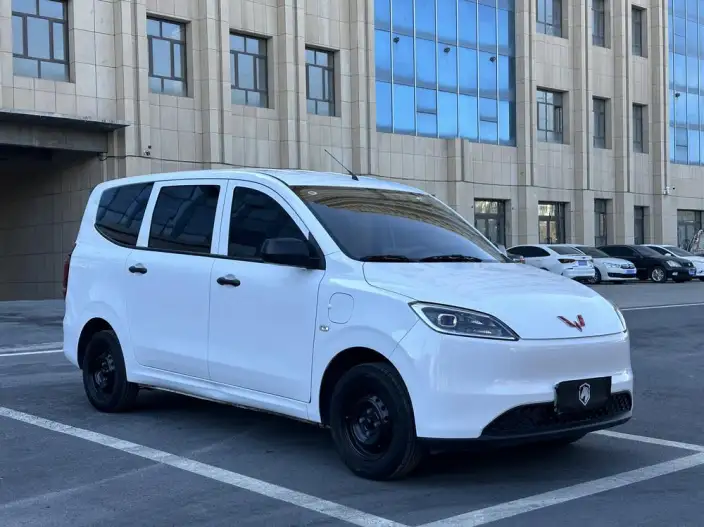 Wuling Hongguang EV Edition 2024 Model 300KM Standard Model