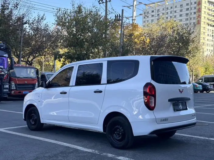 Wuling Hongguang EV Edition 2024 Model 300KM Standard Model