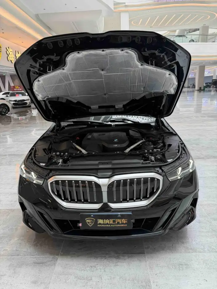 BMW 5 Series 2024 Model 530Li Leading Model M Sports Set – фото 9