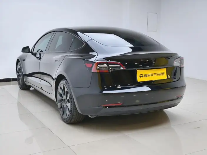 Model 3 2022 Model Rear-wheel drive version – фото 5