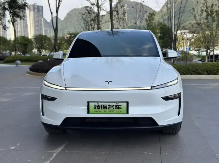 Model Y 2025 Model Rear-wheel drive version