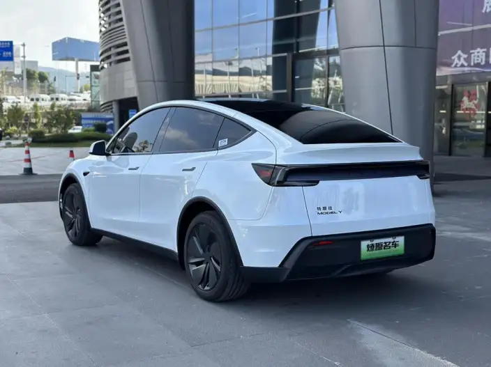 Model Y 2025 Model Rear-wheel drive version – фото 5
