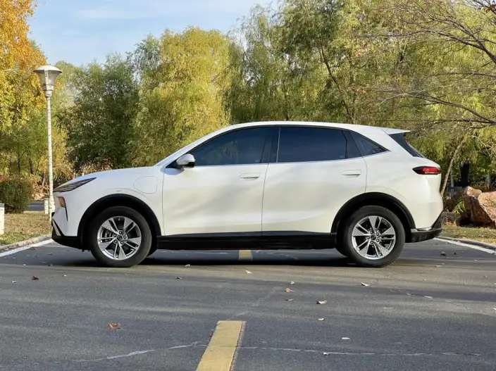 Yueyi 03 2025 Model 565km Lexiang Edition