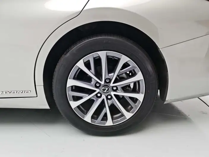Lexus ES 2021 Model 300h Superior Edition – фото 9