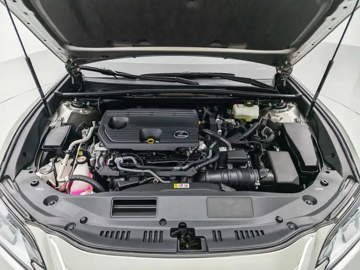 Lexus ES 2021 Model 300h Superior Edition – фото 10