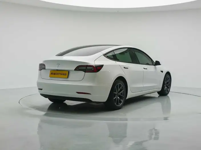 Model 3 2022 Model Rear-wheel drive version – фото 7