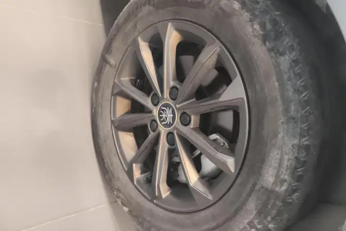 Qin Plus EV 2021 Model 400KM Travel Edition – фото 9