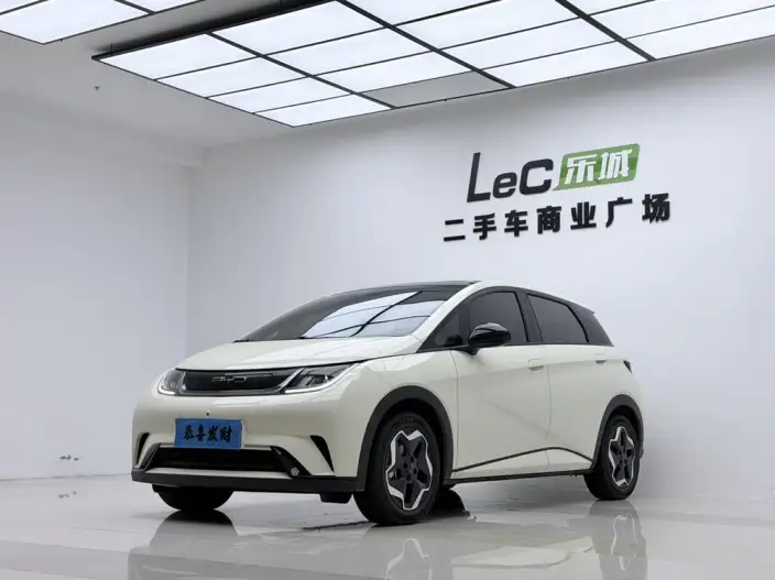 BYD Dolphin 2021 Model Fashion Edition
