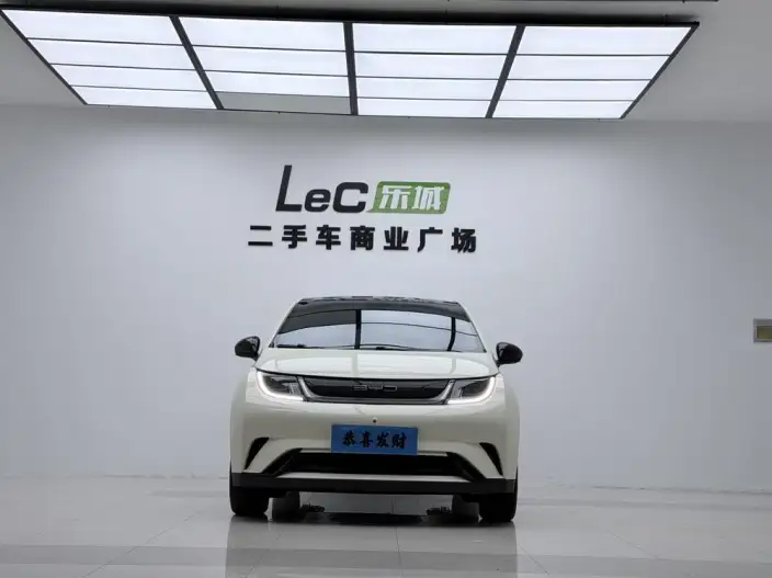 BYD Dolphin 2021 Model Fashion Edition