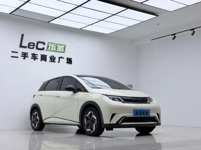 BYD Dolphin 2021 Model Fashion Edition