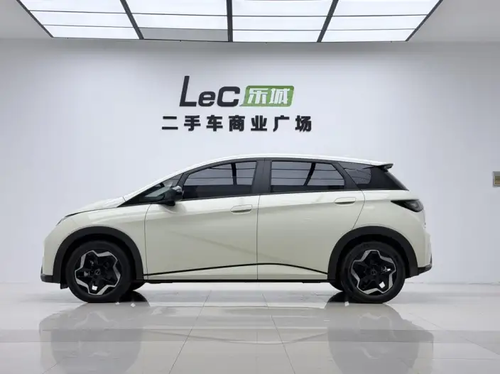 BYD Dolphin 2021 Model Fashion Edition