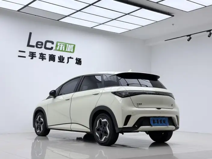 BYD Dolphin 2021 Model Fashion Edition – фото 5