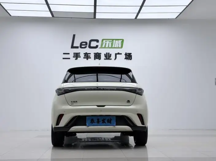 BYD Dolphin 2021 Model Fashion Edition – фото 6