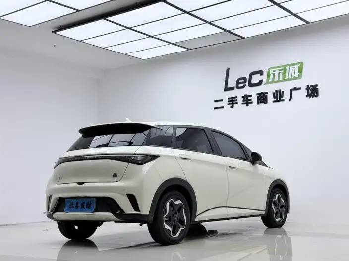 BYD Dolphin 2021 Model Fashion Edition – фото 7
