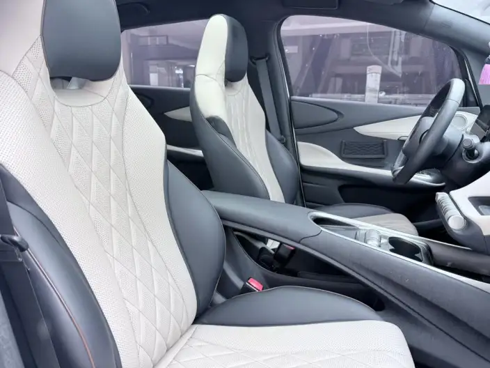 BYD Dolphin 2021 Model Fashion Edition – фото 9