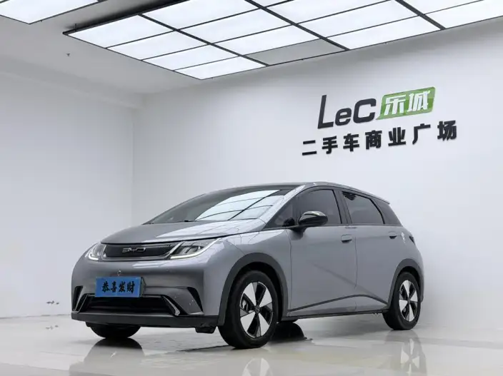 BYD Dolphin 2023 Model Fashion Edition
