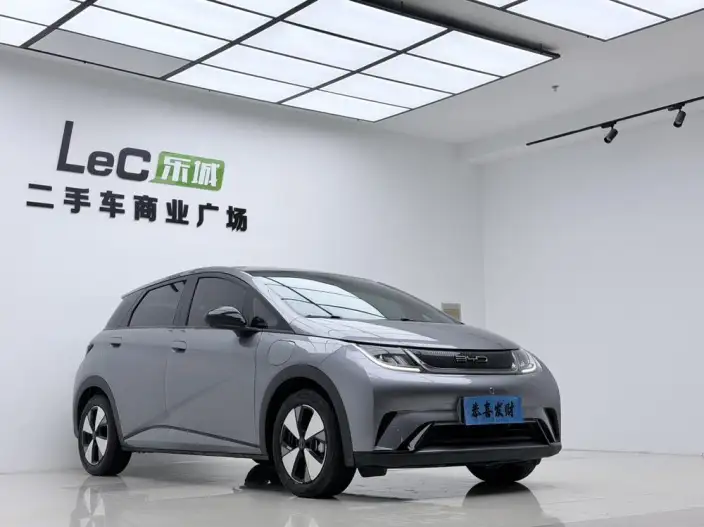 BYD Dolphin 2023 Model Fashion Edition