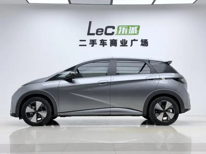 BYD Dolphin 2023 Model Fashion Edition
