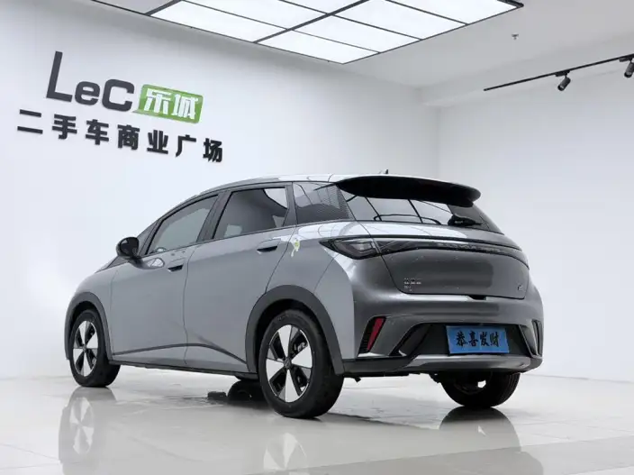 BYD Dolphin 2023 Model Fashion Edition – фото 5