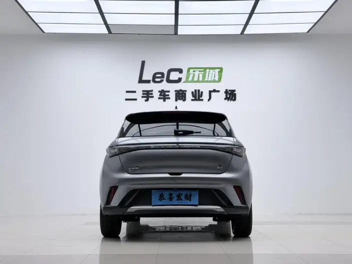 BYD Dolphin 2023 Model Fashion Edition – фото 6