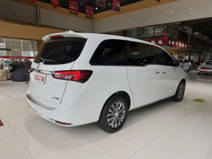 Buick GL8 2023 Model Business class 2.0T Luxury Model – фото 5