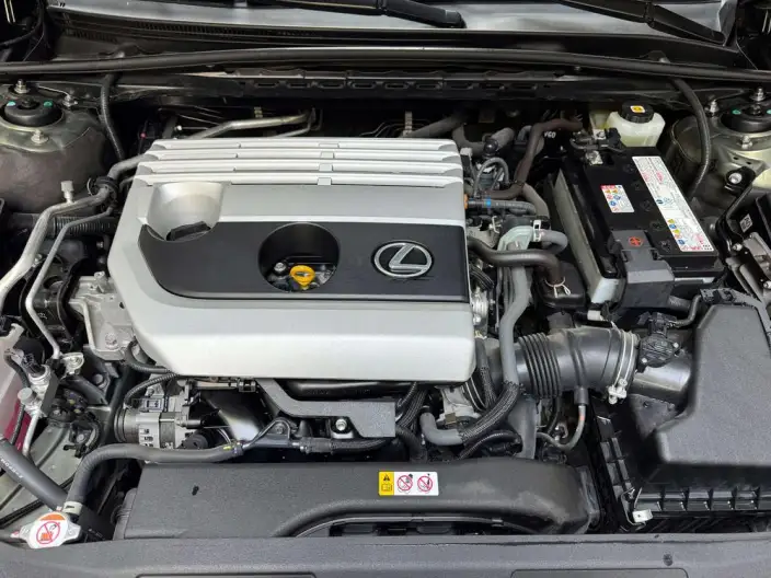 Lexus ES 2021 Model 200 Superior Edition – фото 6