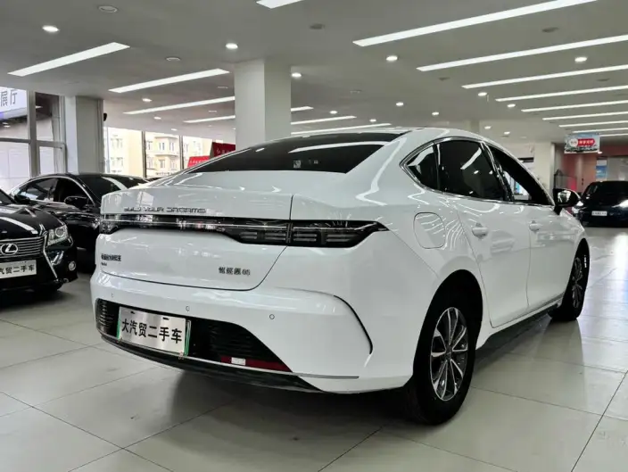 BYD Destroyer 05 2024 Model Honor Edition DM-i 55KM Luxury Model – фото 5