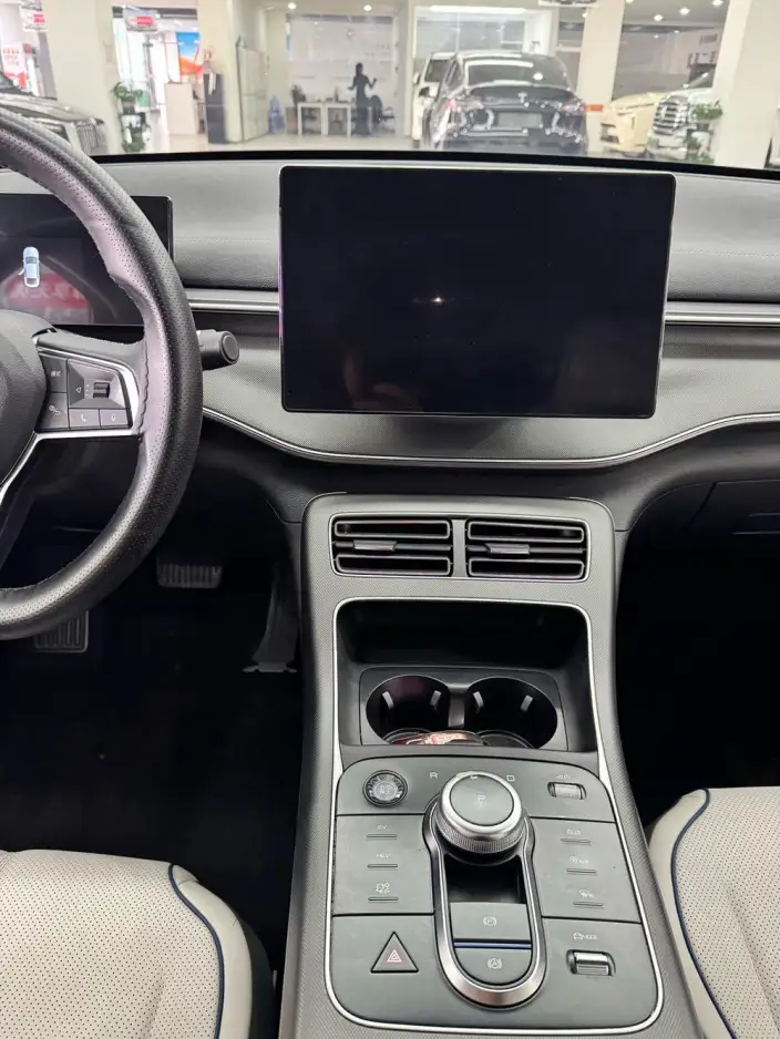 BYD Destroyer 05 2024 Model Honor Edition DM-i 55KM Luxury Model – фото 6