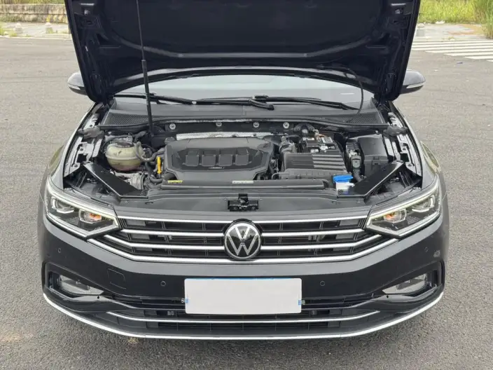 Volkswagen Magotan 2020 Model 330TSI DSG Leading Model – фото 8
