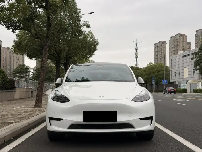 Model Y 2022 Model Facelift Rear-wheel drive version