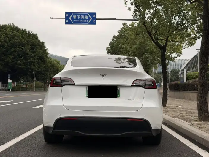Model Y 2022 Model Facelift Rear-wheel drive version