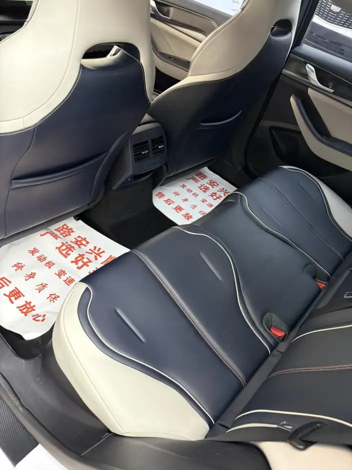 BYD Qin PLUS DM 2021 Model DM-i 55KM Flagship Model – фото 9