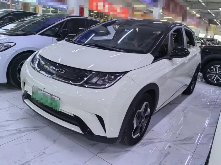 BYD Dolphin 2021 Model Fashion Edition