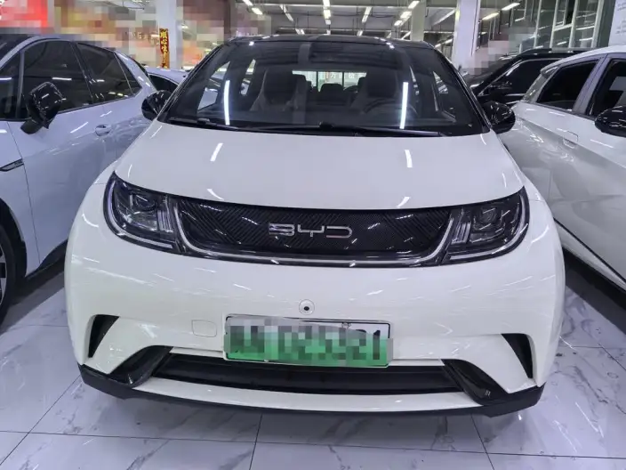 BYD Dolphin 2021 Model Fashion Edition