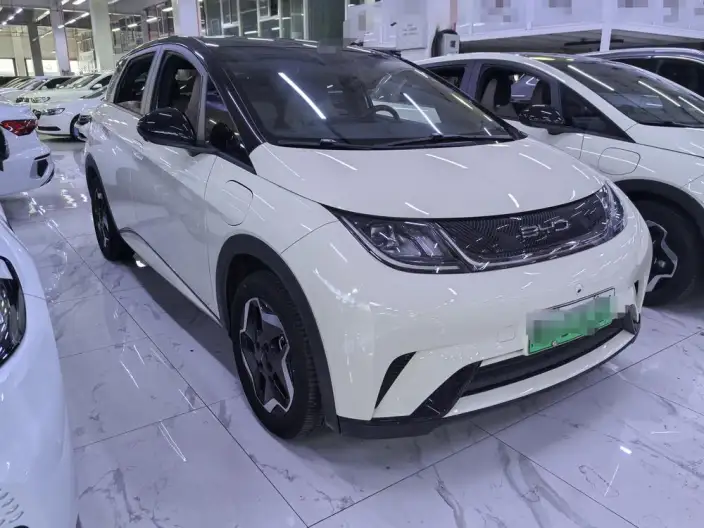 BYD Dolphin 2021 Model Fashion Edition