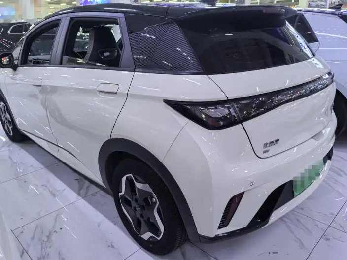 BYD Dolphin 2021 Model Fashion Edition